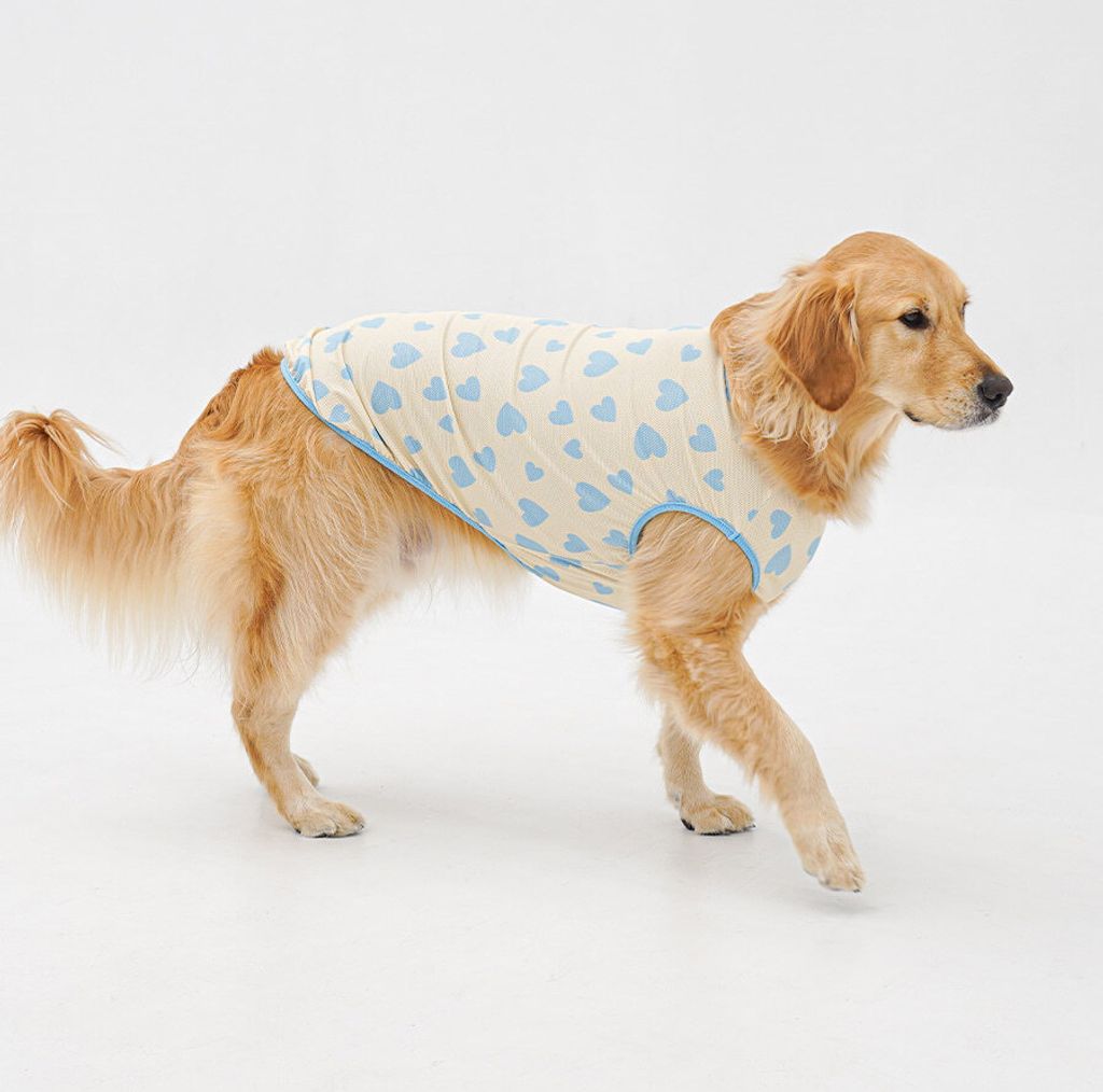 copy-1774874007-2-EBAFBCEC868CEBA7A4EC8381EC84B82_2_02