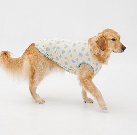 copy-1774874007-2-EBAFBCEC868CEBA7A4EC8381EC84B82_2_02