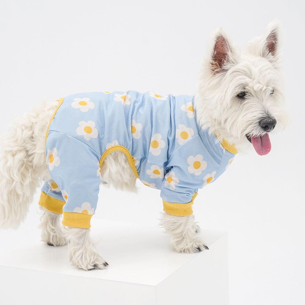 c6ac8eb4c287f0a5069fe2166e9e542c