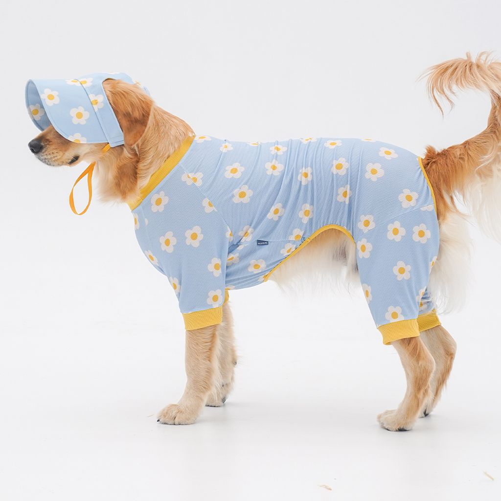 06992b411df6d92e1e21363b482bdab7