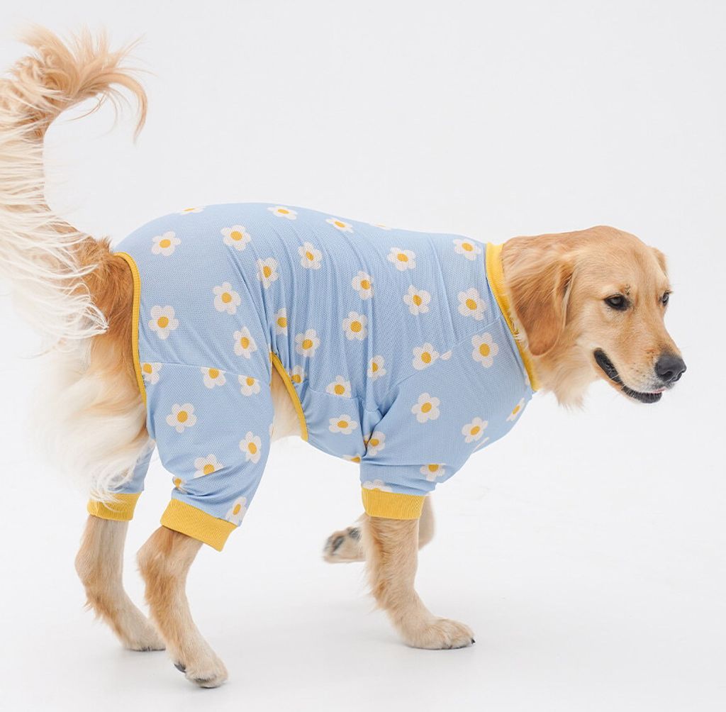 copy-1745221350-1-EC98ACEC9DB8EC9B90EC8381EC84B81_3_02