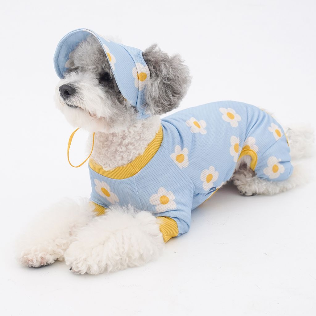 be06c38cb16c4cc811e20de1b788b96c