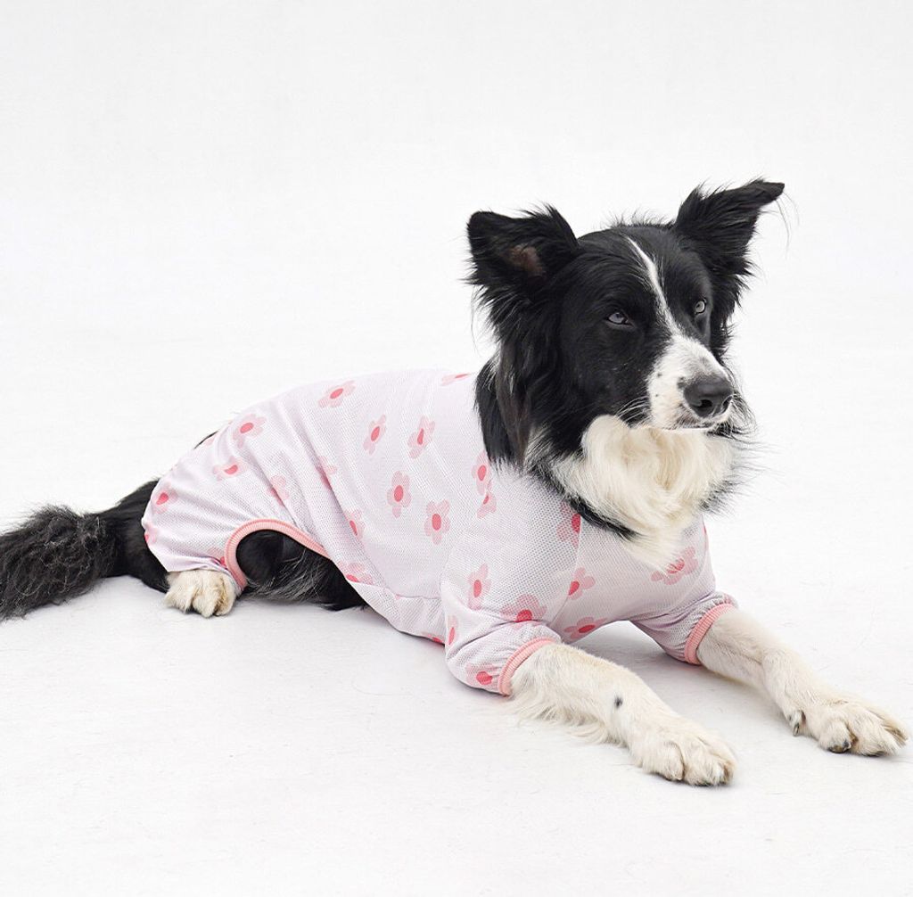 2-EC98ACEC9DB8EC9B90EC8381EC84B82_1_06 (1)