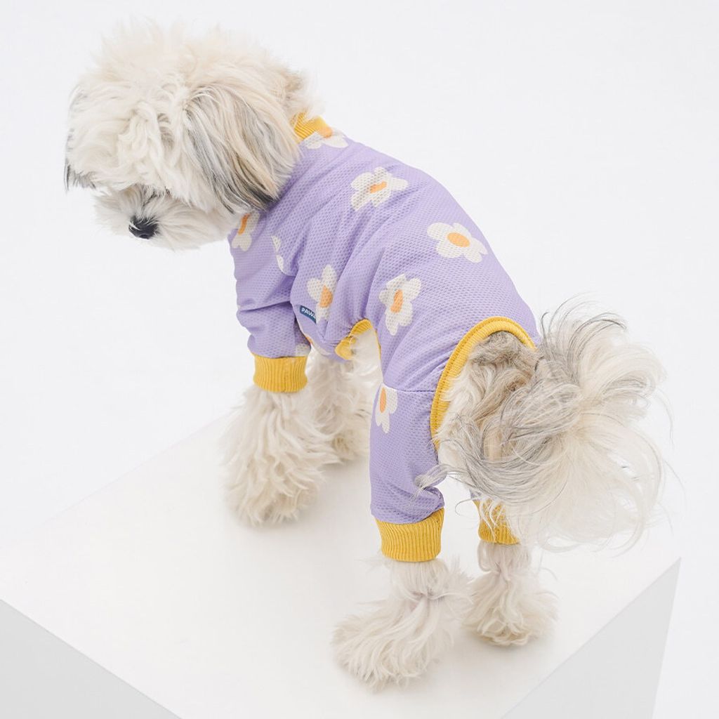 copy-1745221433-1-EC98ACEC9DB8EC9B90EC8381EC84B81_2_04