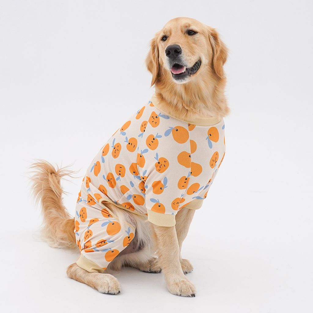 88876414a3956f371d3f194a167b7a2d