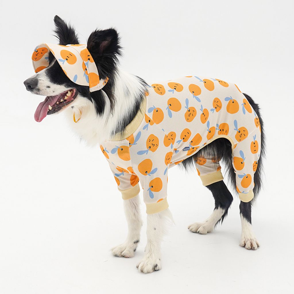 8d6ed9572982dca73bc3625791297dda