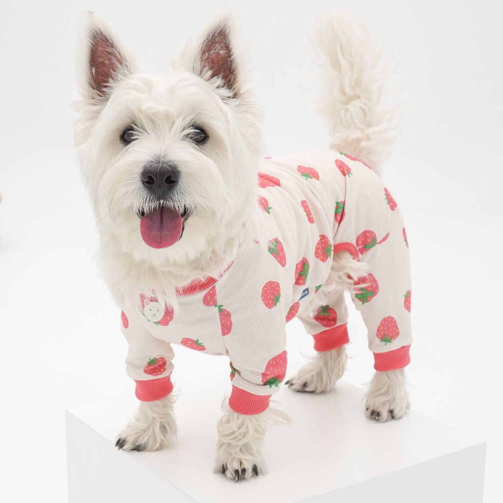 06afa6139f39ed79c3df885f45ee310e