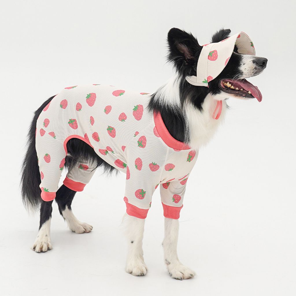 60ca9937bbc2afd503b4650e281ad40d