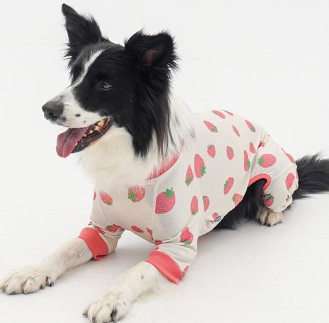 copy-1745220930-2-EC98ACEC9DB8EC9B90EC8381EC84B82_1_06