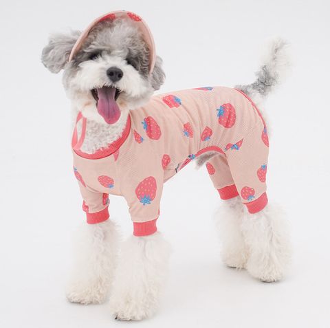 copy-1745220933-1-EC98ACEC9DB8EC9B90EC8381EC84B81_2_02拷貝