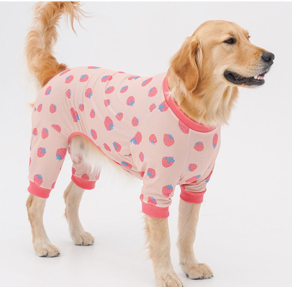 copy-1745220932-1-EC98ACEC9DB8EC9B90EC8381EC84B81_1_02