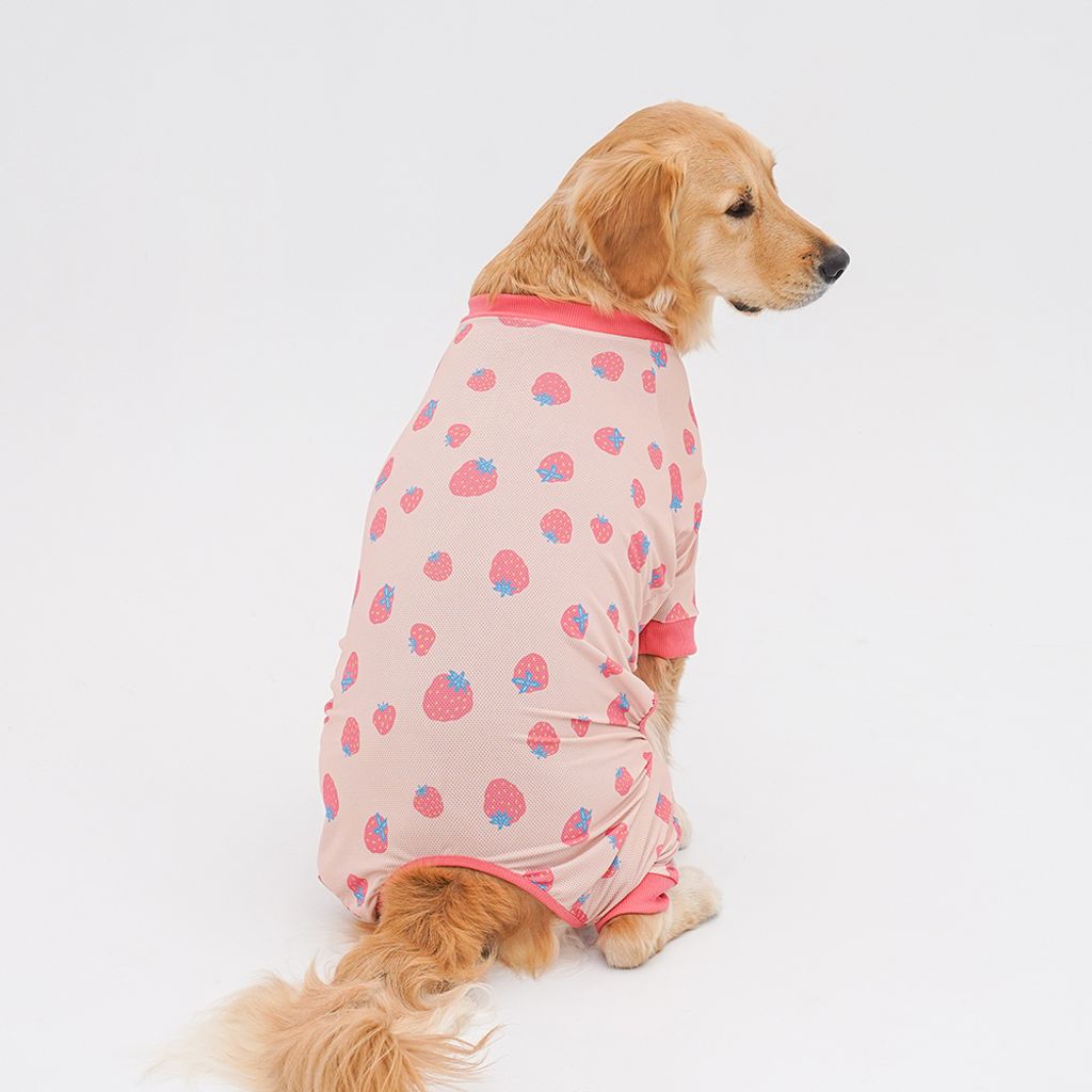 a149fc558762a48d4ae3076e9509a692