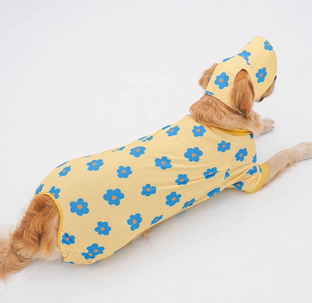 copy-1745221517-2-EC98ACEC9DB8EC9B90EC8381EC84B82_2_02拷貝