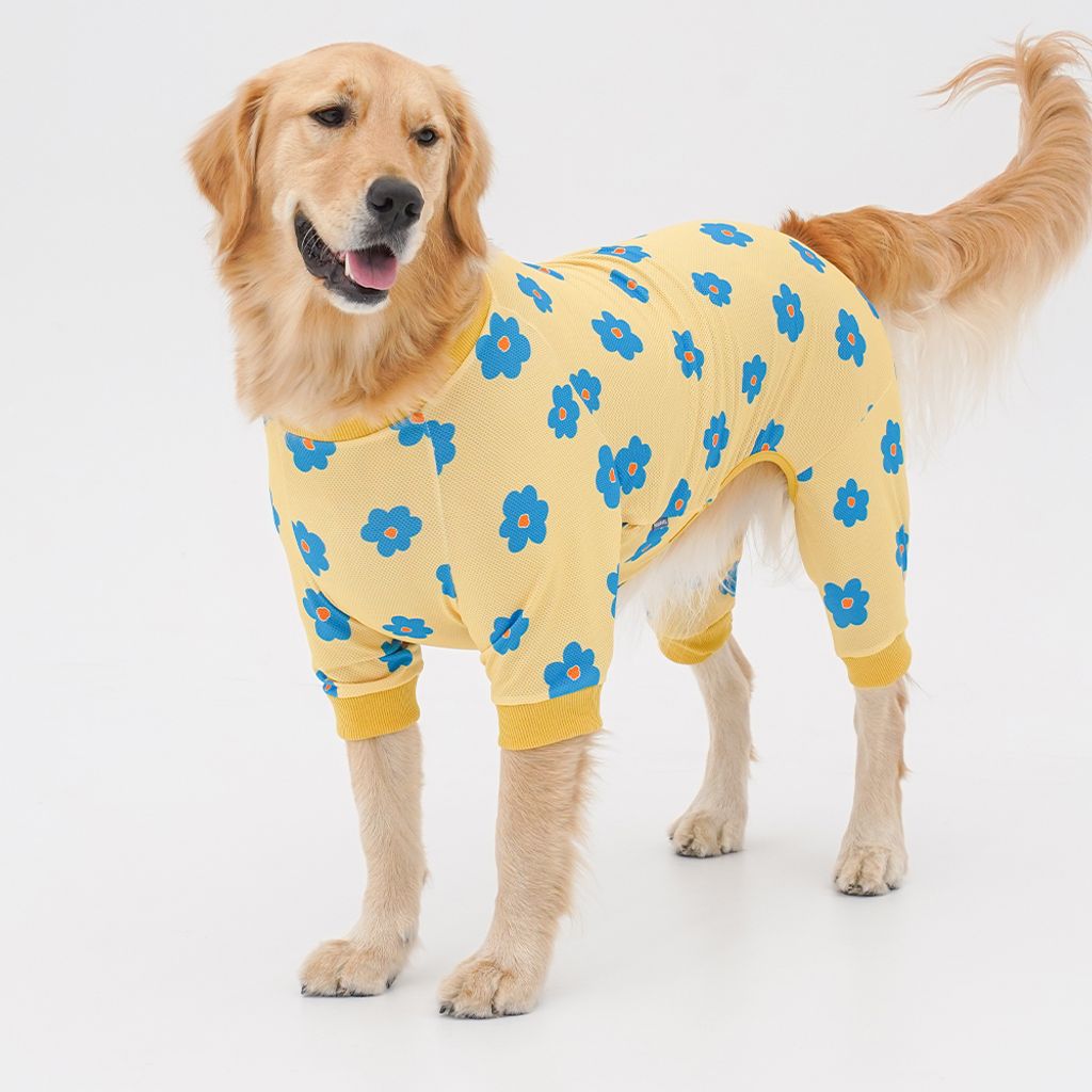 aa41fe181d812d7d98f39e0fe166dc1c