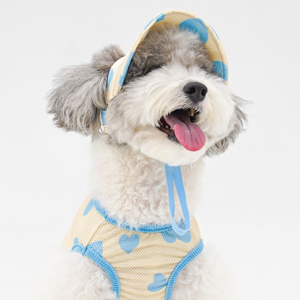 imgi_2_9e20b56866d9dbb3d416a1803e29b6f2