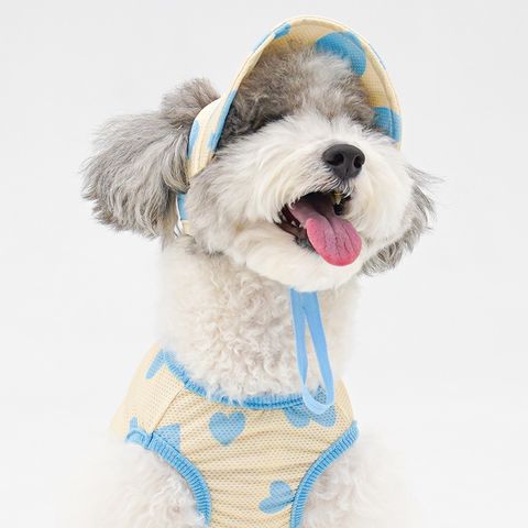 imgi_2_9e20b56866d9dbb3d416a1803e29b6f2