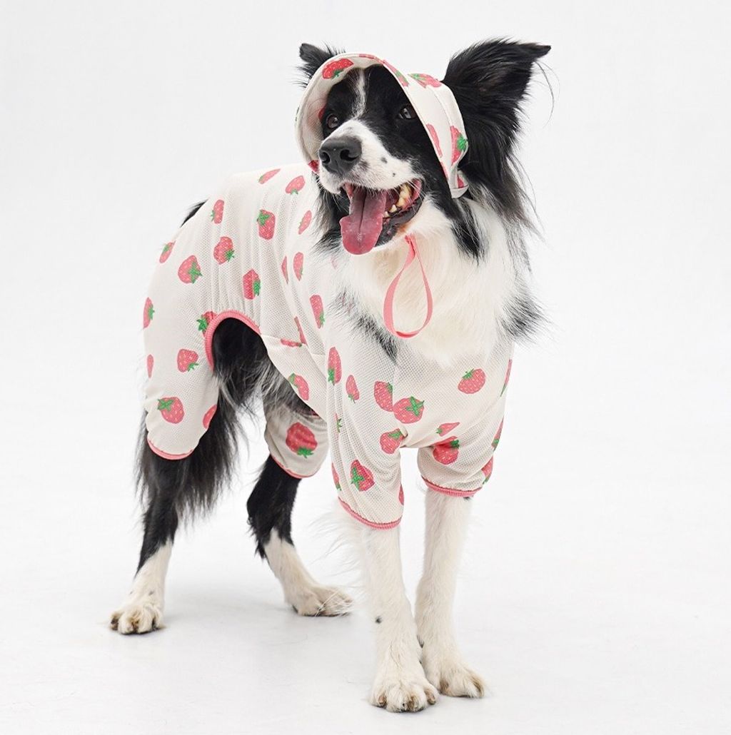 imgi_23_2-EBAAA8EC9E90EC8381EC84B82_1_03.0