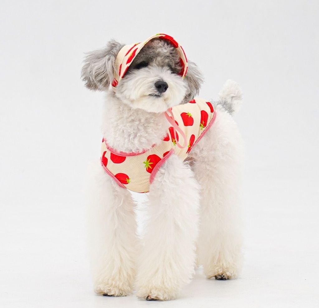 imgi_20_1-EBAAA8EC9E90EC8381EC84B81_3_03拷貝