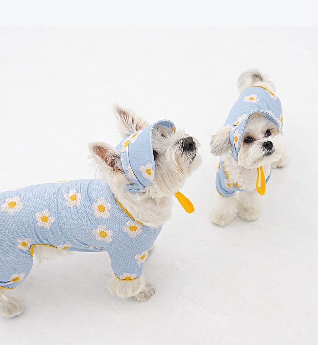 imgi_12_1-EBAAA8EC9E90EC8381EC84B81_1_02