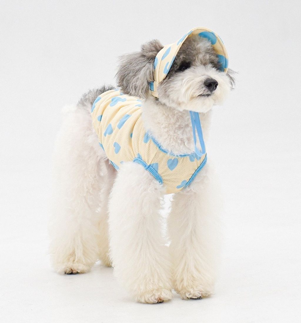 imgi_39_63c3291f02f4bd4ef7bb8674fa3df8fb