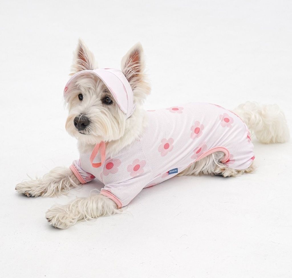 imgi_20_1-EBAAA8EC9E90EC8381EC84B81_3_03