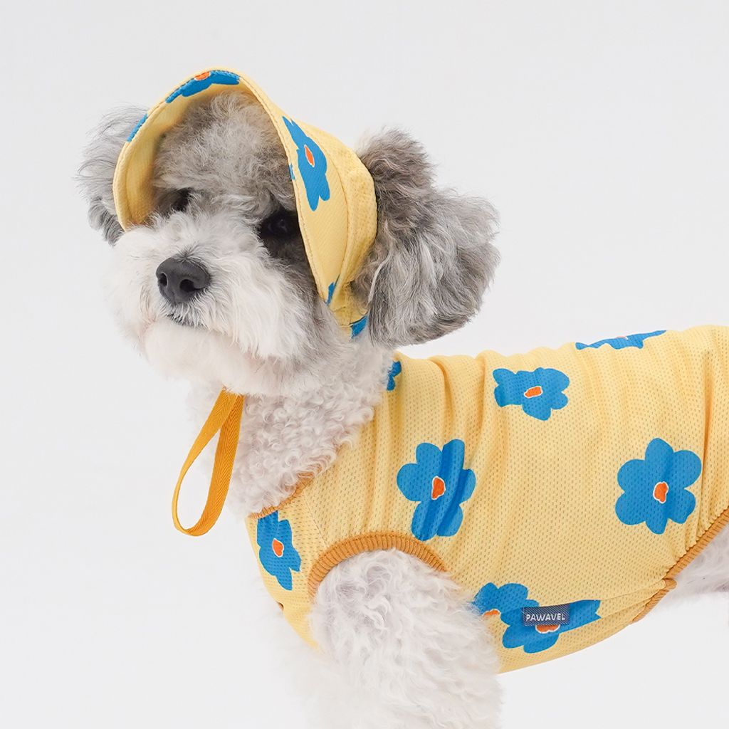 6c466944719f4eec4769c32f9f4f622b