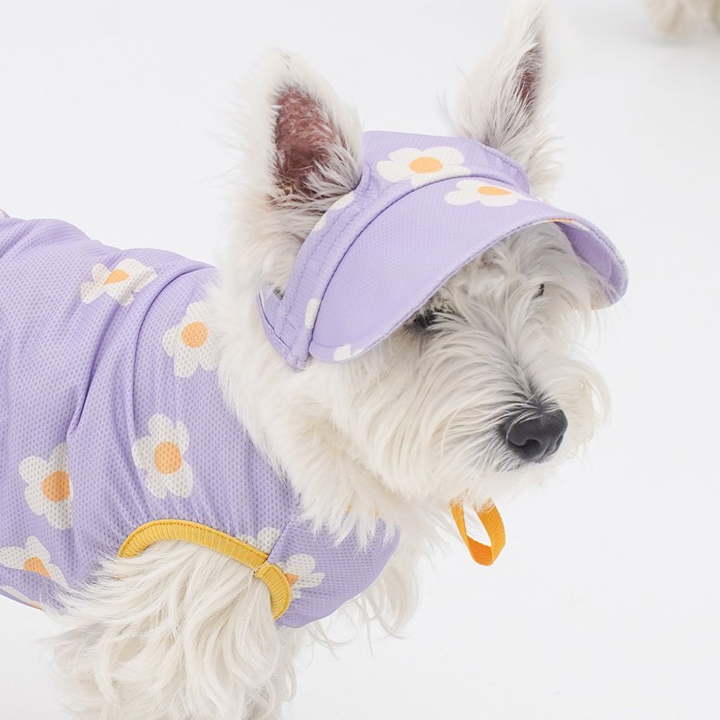 c6b643cde0fcaac1fab75969a370cdf0