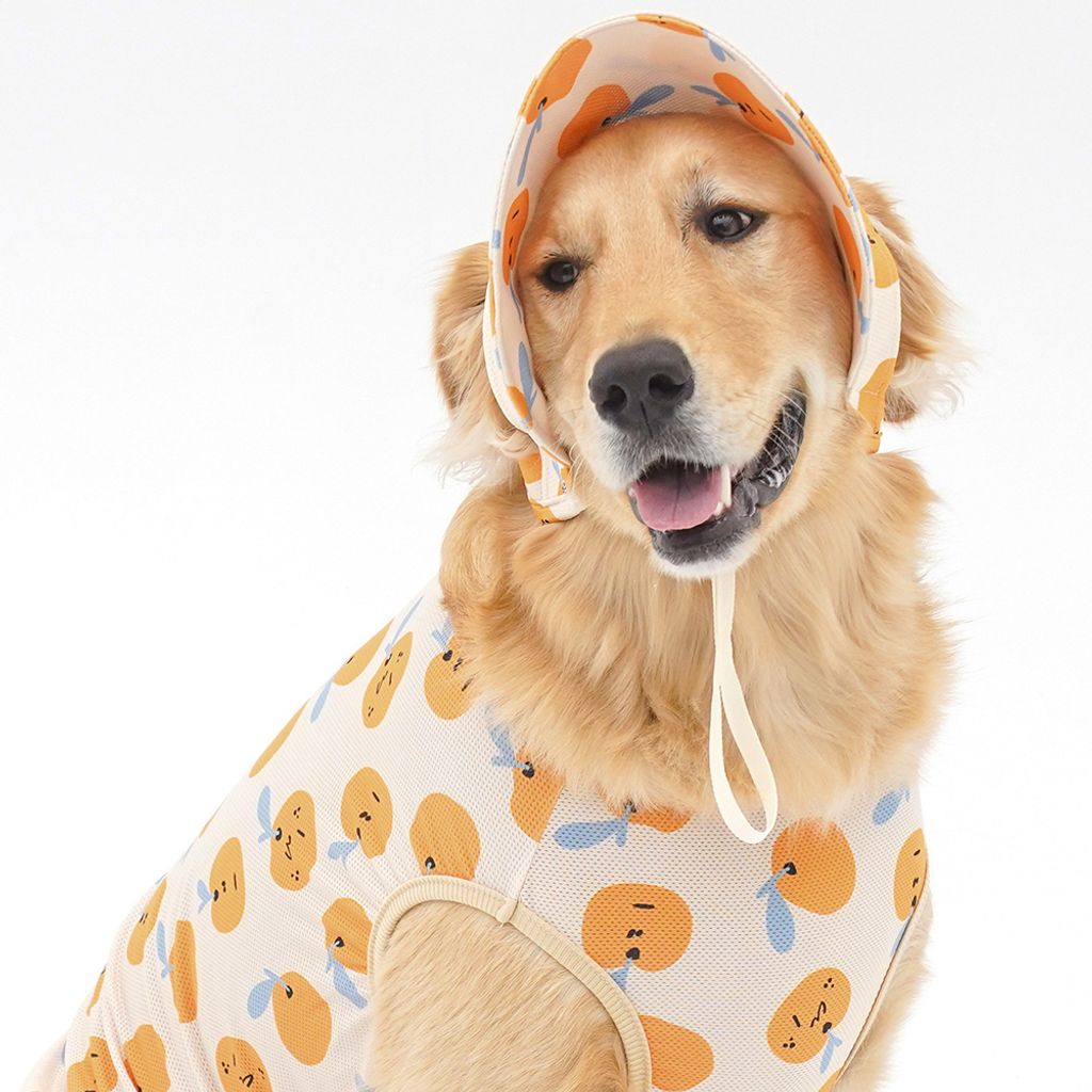 de8094217123c9e460a46086eb592e24