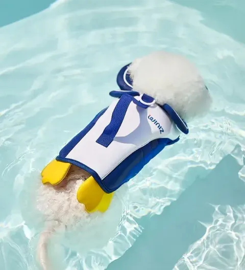 2拷貝