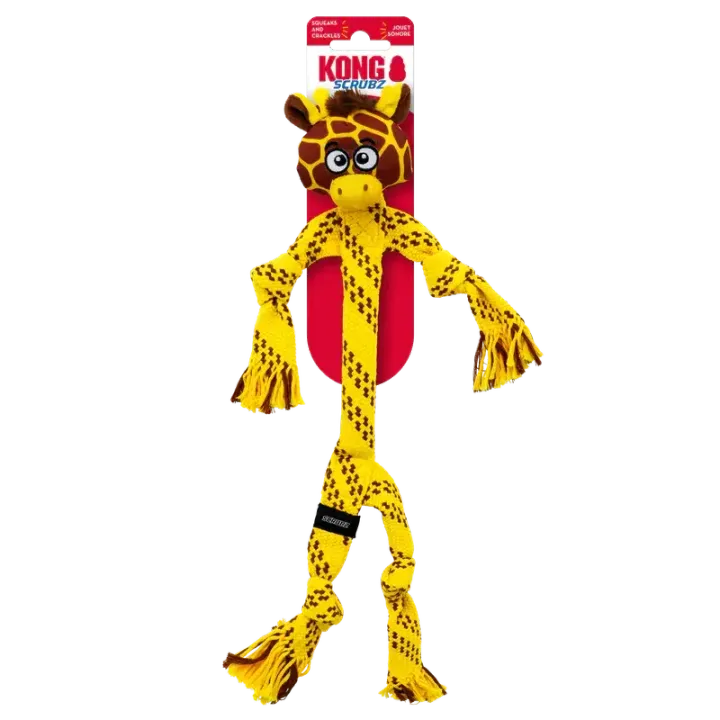 imgi_2_800x