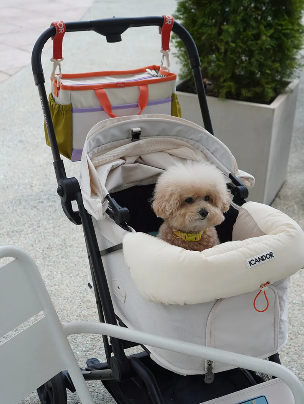 截圖 2025-06-21 上午1.42.07