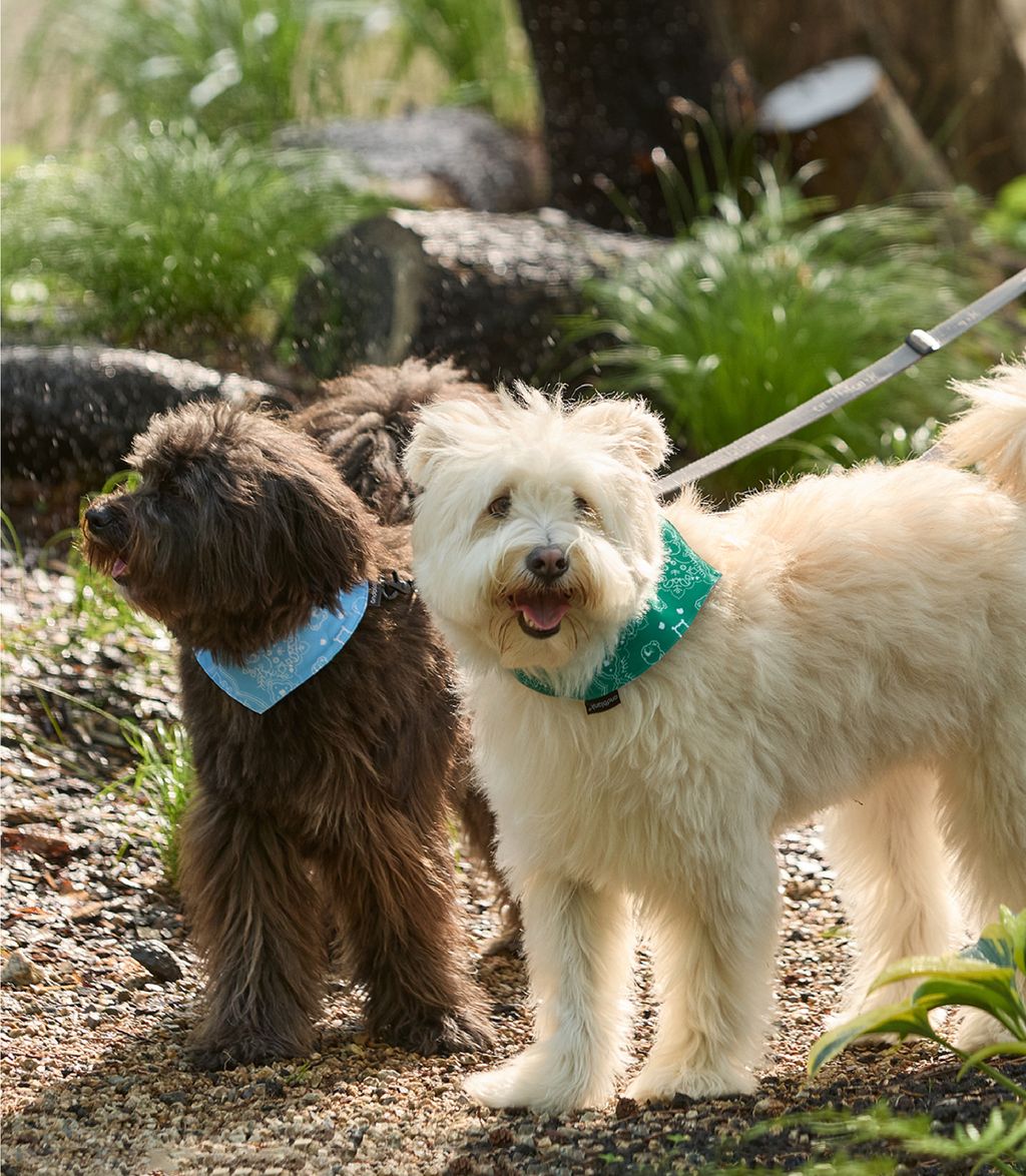 imgi_125_665decdef7d69-01拷貝