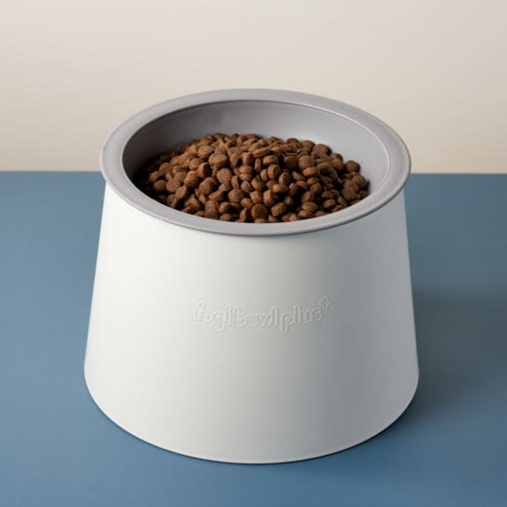 50527945860600896_214775323