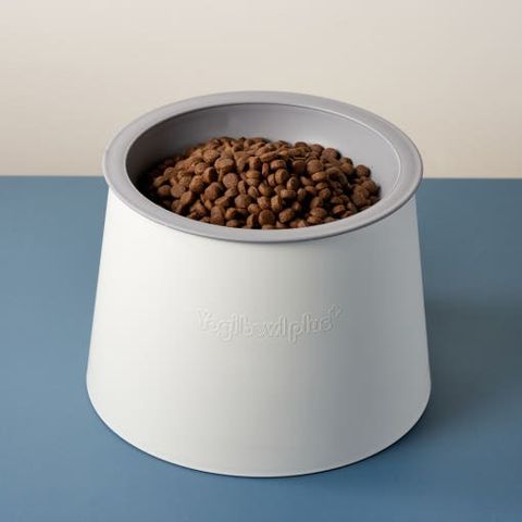 50527945860600896_214775323