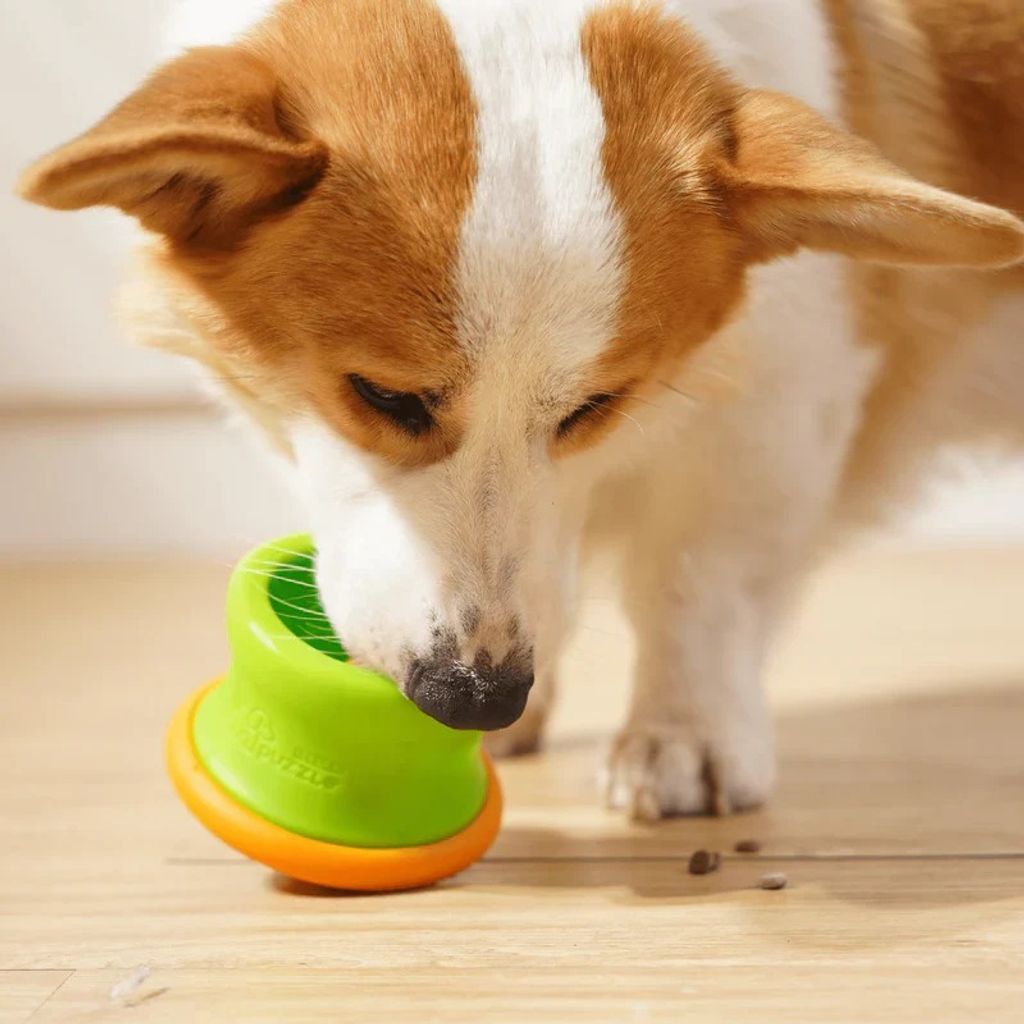 imgi_30_DSC03329_1-548891_46418069-9901-421e-a3f3-629339579ffd