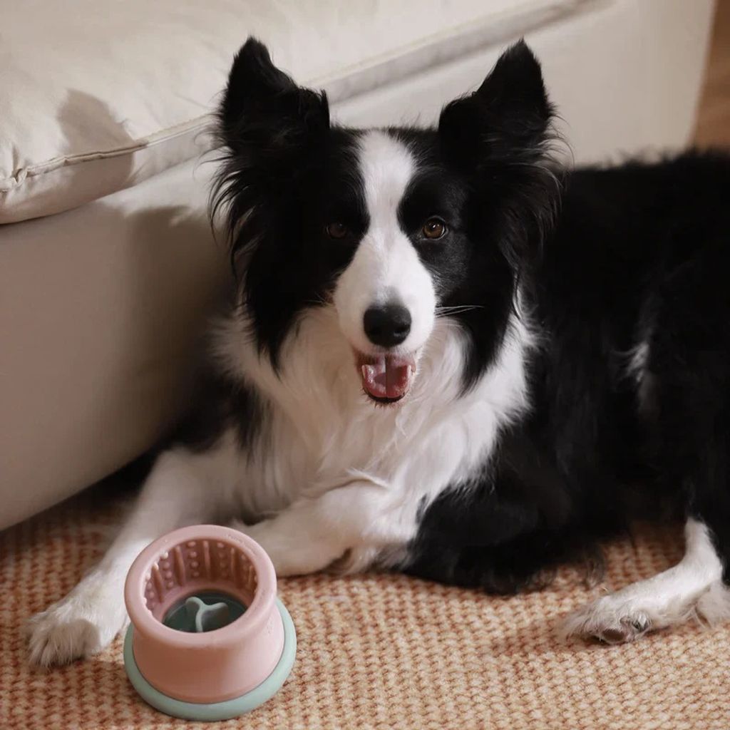 imgi_18_MG_6616_1-296168_4d39e0bd-c7f4-473d-b152-6ff08aaeeddf