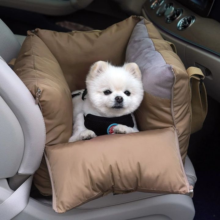 imgi_5_40.-PETIT-ALL-DAY-CAR-SEAT-首圖