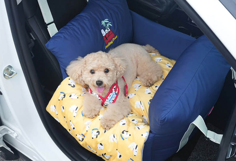 截圖 2025-08-08 下午3.25.47