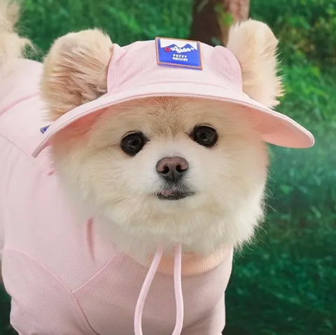 螢幕擷取畫面 2025-09-03 143132