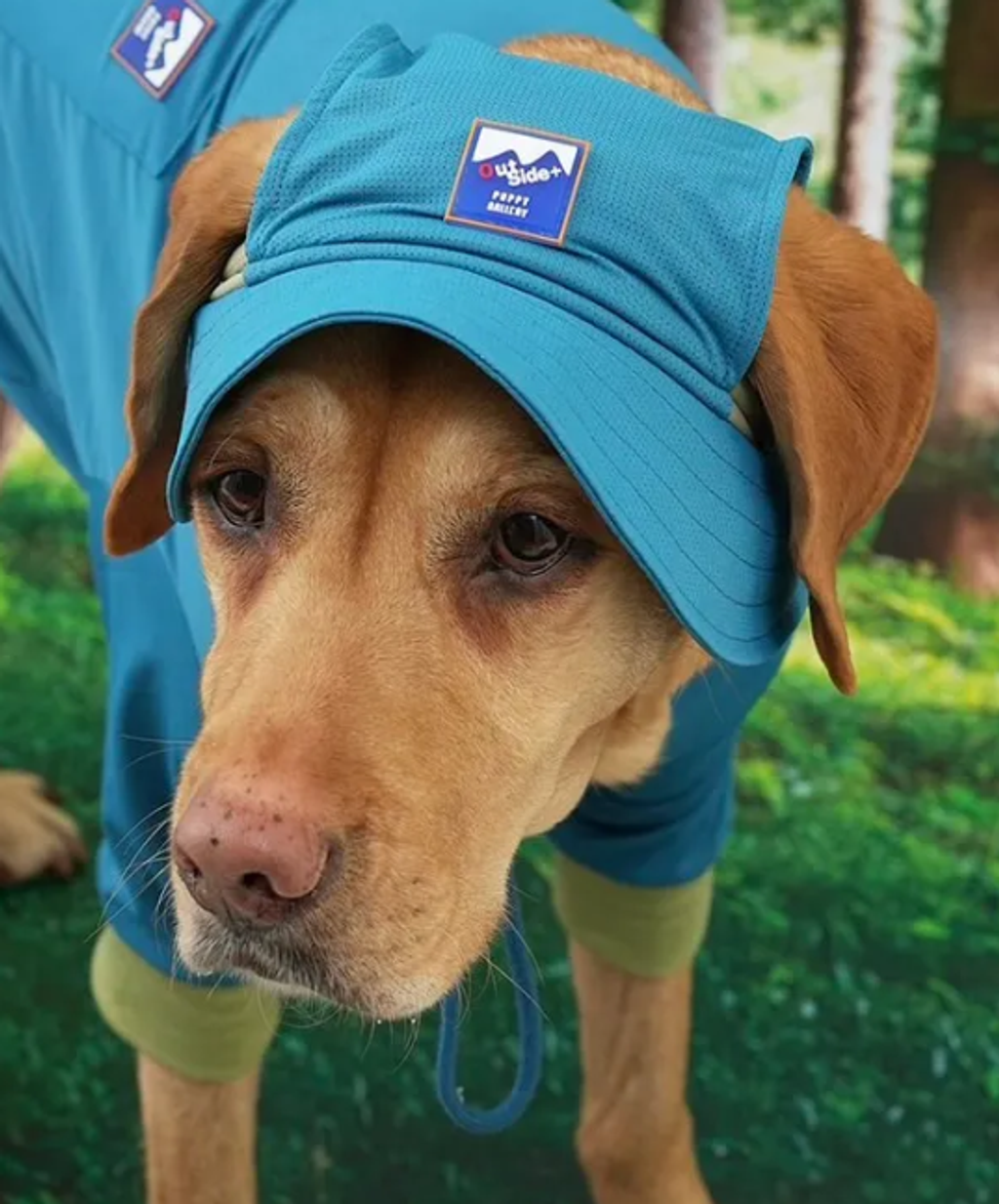 螢幕擷取畫面 2025-09-03 144355