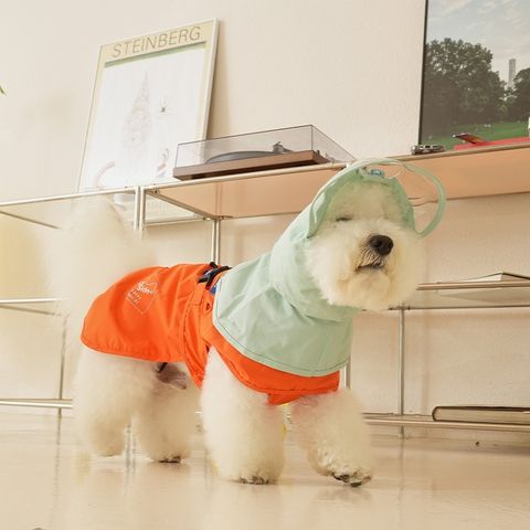 imgi_1_0040010001782