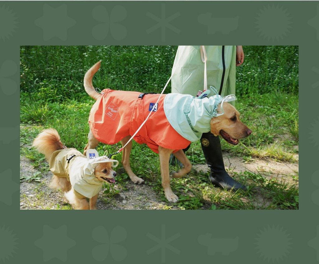 imgi_17_1688358759_822945