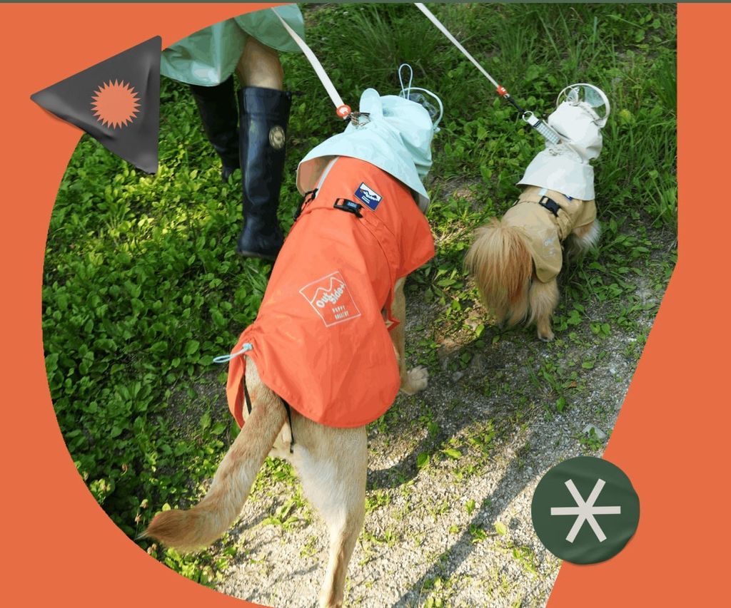 imgi_45_1688358762_558760