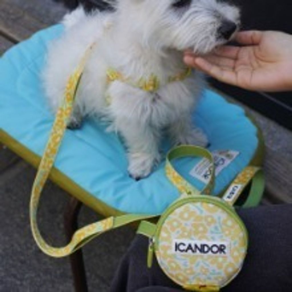 imgi_8_c0eae990a4d79f63628c672ce064b90a