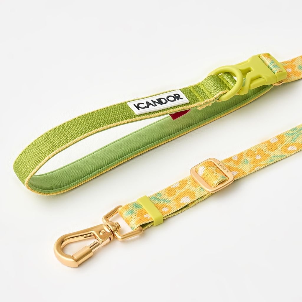 imgi_8_1951ea42e3c5d5f4f4986bf2067605ec