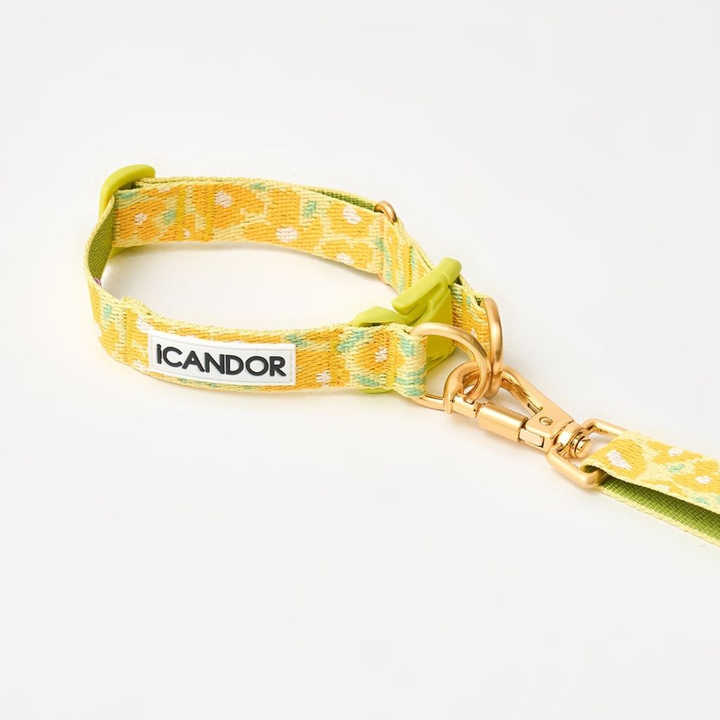 imgi_11_a391b4745440b1847da89c99a7ffee45