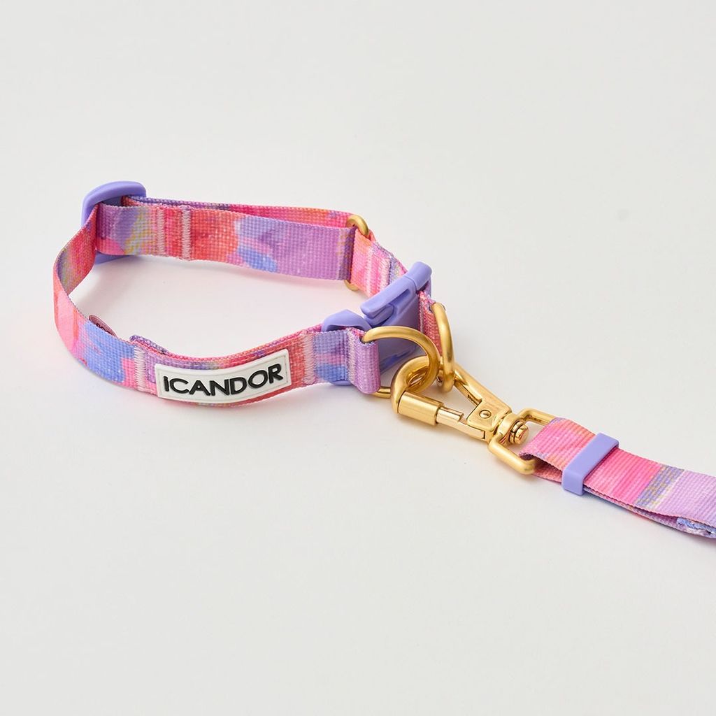 imgi_12_a8e7e358c6a355295058270855d4ca1d