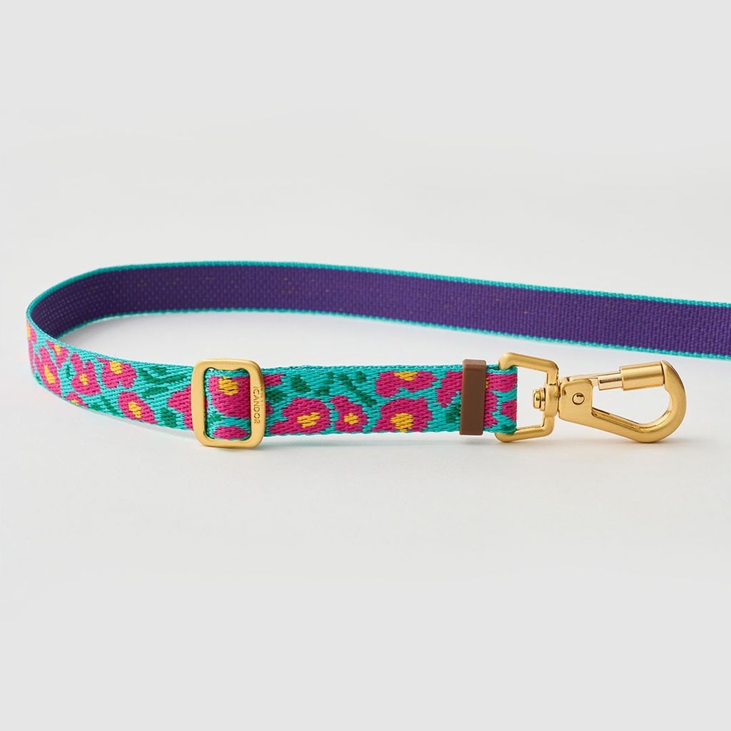 imgi_10_fa3c1a706ea21596e0c90b9168e1c135