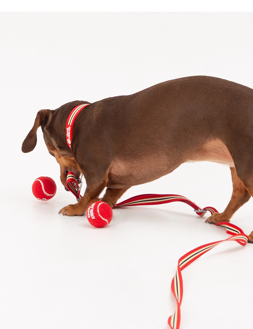 imgi_73_768539e48868d