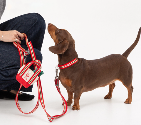 截圖 2025-09-18 下午9.15.35